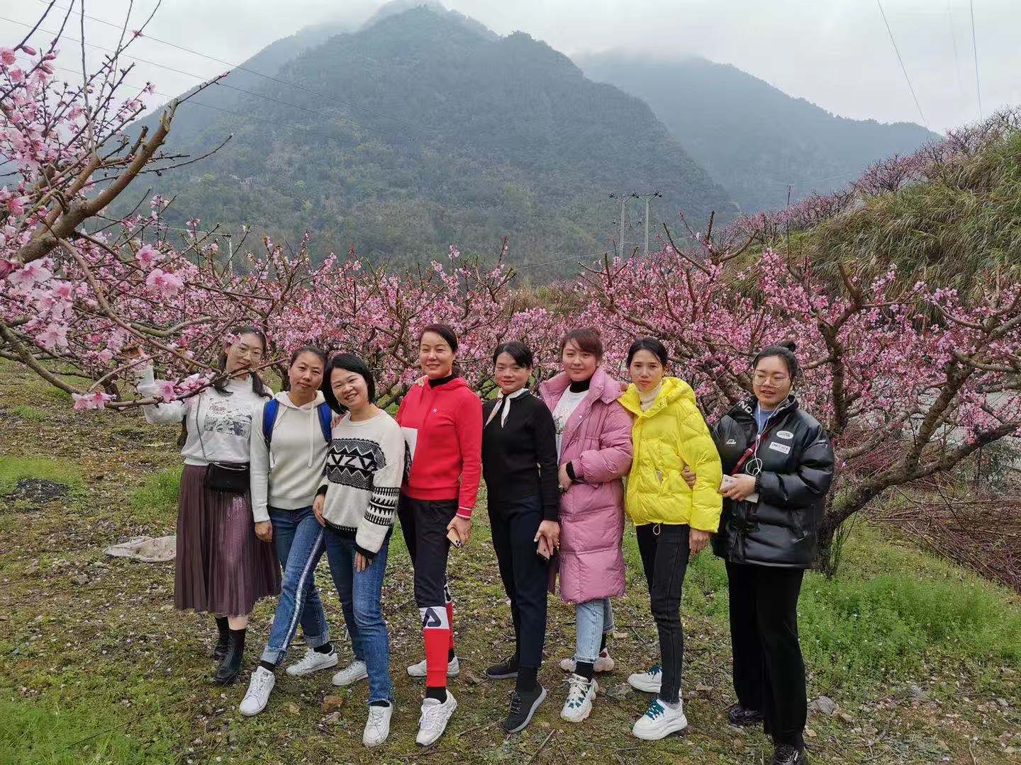 桃花园驻足.jpg